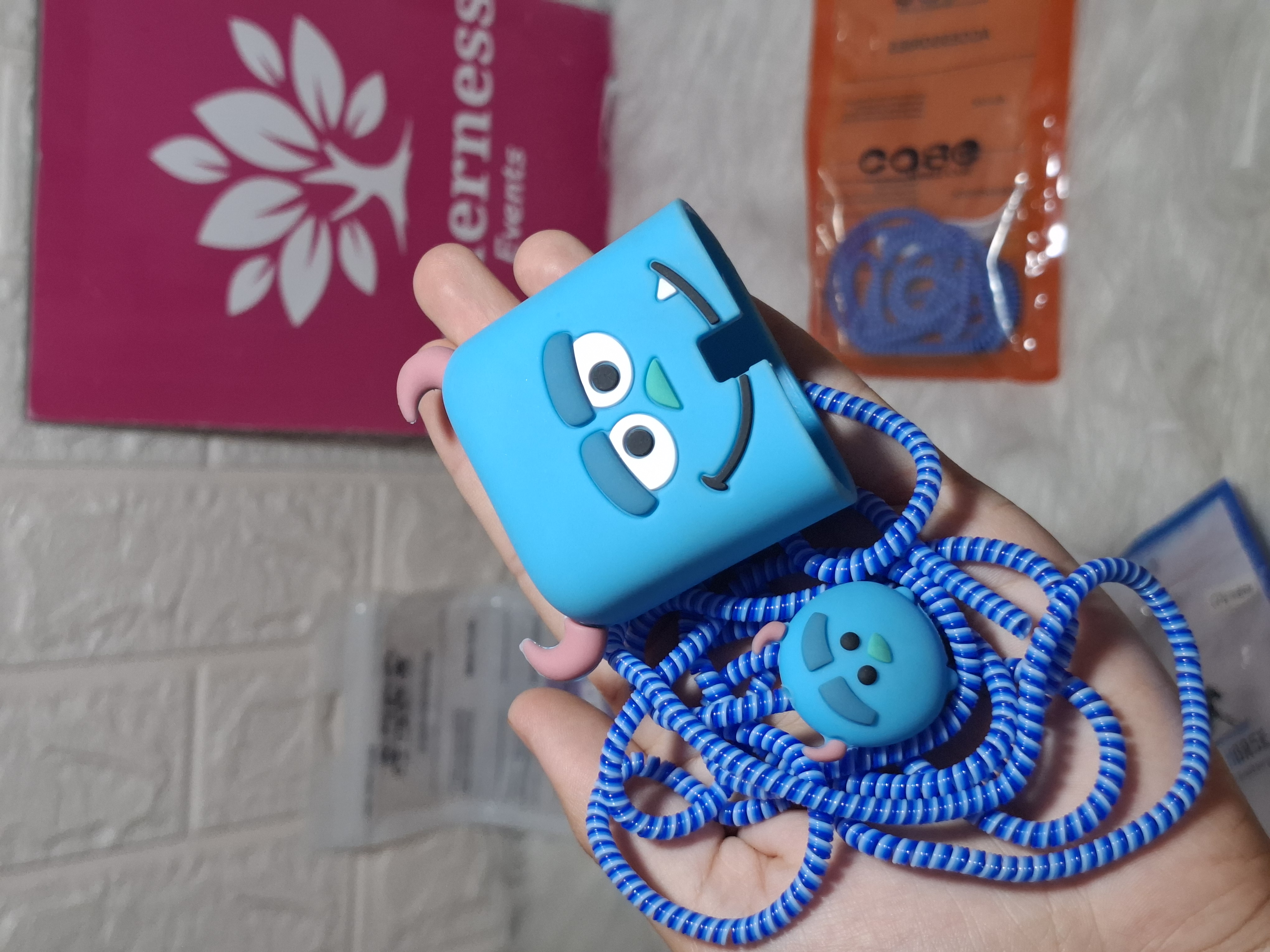 Charger cover for shalapy